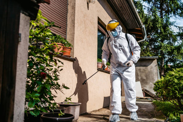 Best Termite Control Services  in Sparta, IL
